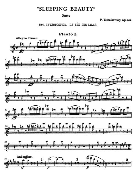 Suite From The Sleeping Beauty Op.66A